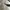 Oakley monsterdog matte black  photo 6