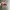 Oakley monsterdog matte black  photo 3
