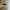 Oakley monsterdog matte black  photo 1
