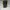 Jam Tangan Fossil Digital Black