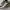 Salomon S-Lab XT-6 Advance Grey Yellow photo 2