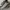 Salomon S-Lab XT-6 Advance Grey Yellow