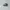 Salomon S-Lab XT-6 Advance Grey Yellow photo 1