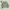 Vintage Knitwear Pattern 3D by Young Lim photo 1