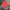 Vintage Short Pria white red photo 2