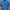 Jersey Home Man City 2024/2025 photo 2