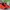 Sepatu Nike Air Jordan 34 Infrared 23  photo 1