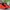 Sepatu Nike Air Jordan 34 Infrared 23 