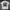 tshirt swellow photo 1