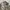 AVIREX ARMED FORCES BLACK KNIGHTS JACKET photo 2