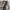 AVIREX ARMED FORCES BLACK KNIGHTS JACKET photo 5