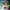 Album KPOP TXT The Dream Chapter Star Debut