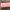 Power Bright Serum