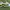 Sepatu nike edisi minecraft photo 1
