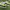 Sepatu nike edisi minecraft photo 4