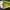 Sepatu nike edisi minecraft photo 5