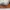 ADIDAS YEEZY BOOST 700 V2 photo 2
