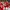 Jersey Home Arsenal 2019/2020 photo 3