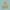 Uniqlo Parasut Lightweight UV Cut Pastel Yellow Second photo 1