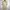 Frapbois Issey Miyake Dress Size One Size / M photo 1