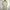 Frapbois Issey Miyake Dress Size One Size / M