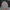 🎒 Schoolbag for Kids – Nevada photo 1