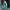 🎒 Schoolbag for Kids – Nevada photo 3