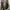 Fieldcore Realtree Puffer Jacket photo 2