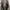 Fieldcore Realtree Puffer Jacket