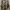 Fieldcore Realtree Puffer Jacket photo 1