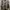 Fieldcore Realtree Puffer Jacket