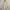 Diesel Coat Parka Jacket Size S