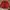 Blazer Vintage Red Puffy Polka photo 1