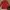 Blazer Vintage Red Puffy Polka photo 2