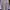 gaun tunik/dress sweater  photo 3