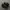 nike tn photo 1