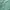 Uniqlo Parasut Lightweight Pocketable Tosca Second  photo 5
