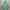 Uniqlo Parasut Lightweight Pocketable Tosca Second 