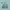 Uniqlo Parasut Lightweight Pocketable Tosca Second  photo 1