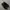 nike tn photo 3