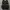 nike tn photo 5