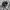 Salomon XT6 GTX Black phantom photo 1