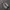 nike jordan photo 3