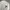 AMI Paris Streetwear Casual Sweater Wanita cream photo 2
