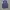 Formal Vest Inner Suit