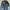 JEANS FEDDING PETIR photo 5