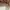 #FR2 Casual Bra Wanita tan cream photo 4