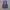 Formal vest inner suit photo 1