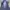 Formal vest inner suit photo 3