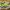 New Balance Sc Elite V4 FuelCell Greend White photo 3